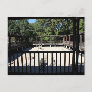 Japanska Garden i Fort Worth Texas nr 54 Vykort