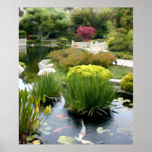 Japanska Garden Pond med Koi Poster