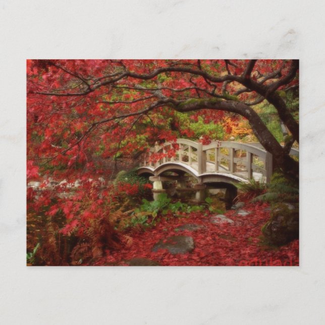 Japanska Garden Vykort (Framsida)