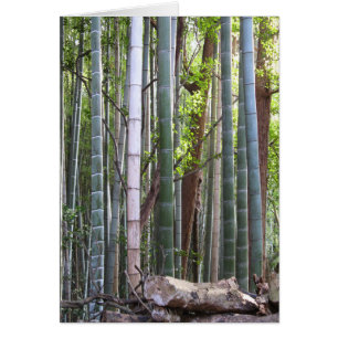 Japanska Giant Bamboo Forest, Sagano, Kyoto, Japan Hälsningskort