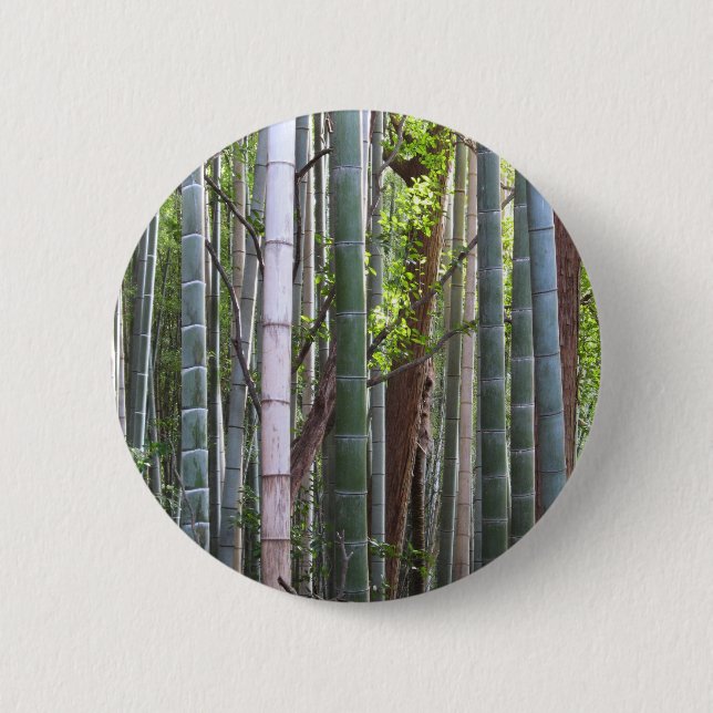 Japanska Giant Bamboo Forest, Sagano, Kyoto, Japan Knapp (Framsida)