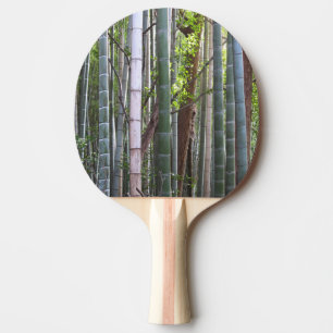 Japanska Giant Bamboo Forest, Sagano, Kyoto, Japan Pingisracket