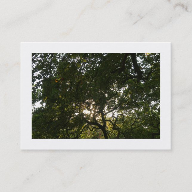 Japanska Grenar 04 (gränsad) Visitkort (Framsida)