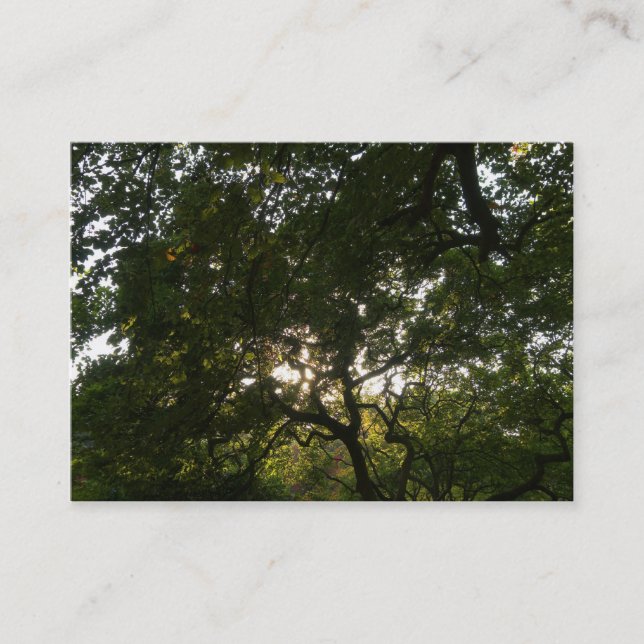 Japanska Grenar 04 Visitkort (Framsida)