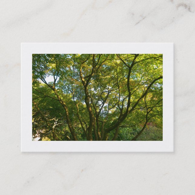 Japanska Grenar 06 (gränsad) Visitkort (Framsida)