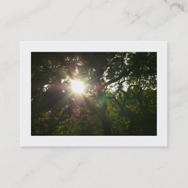 Japanska Grenar 07 (gränsad) Visitkort (Framsida)