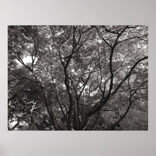 Japanska Grenar II Poster (Framsidan)