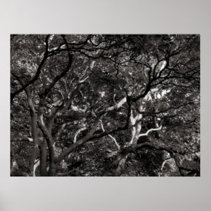 Japanska Grenar III Poster