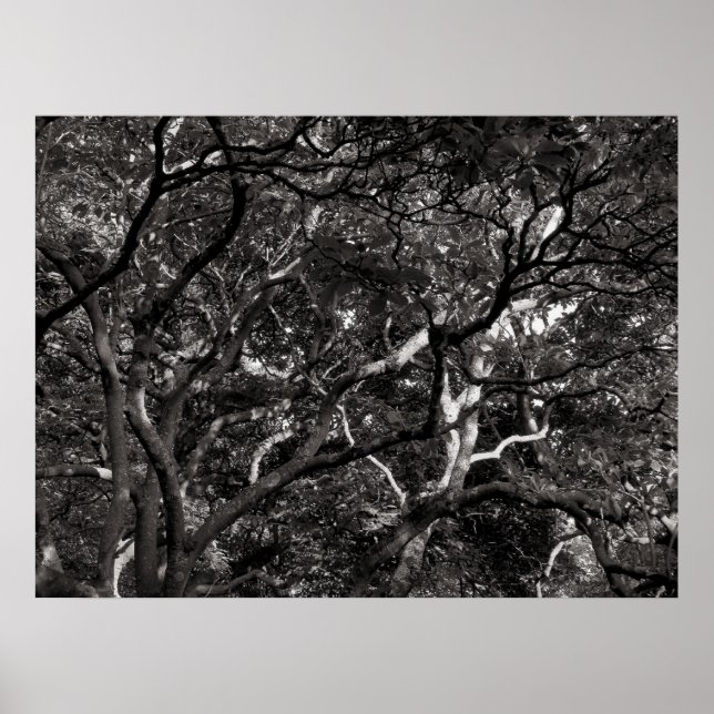 Japanska Grenar III Poster (Framsidan)