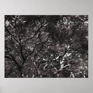 Japanska Grenar Poster