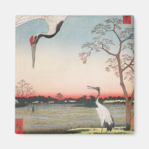 Japanska grets magnet