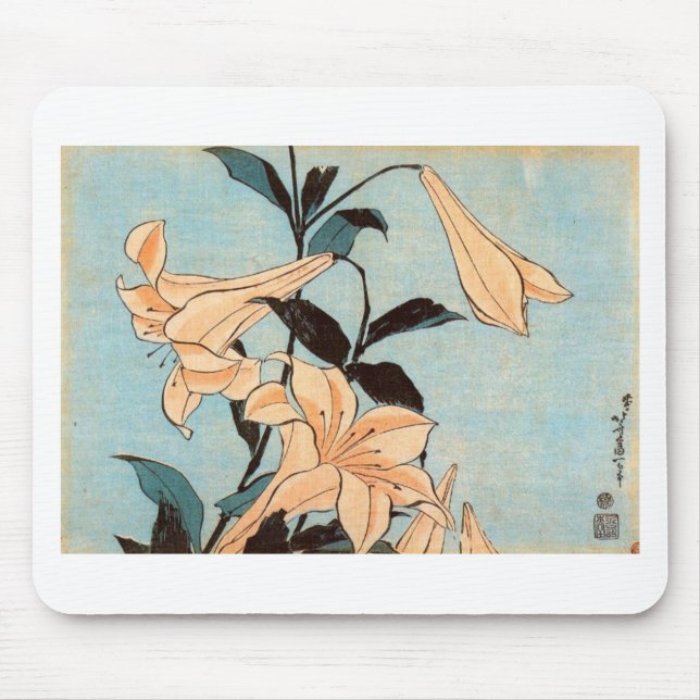 Japanska Irises Musmatta (Framsidan)