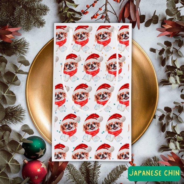 Japanska julstjärnor i Chin Hund aveln (Skapare uppladdad)