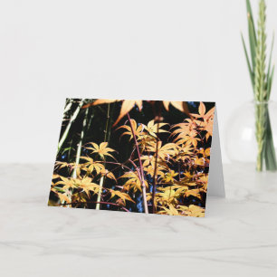 Japanska kapslar 5 Floral fotografi HGC Kort