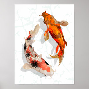Japanska Koi Pond Poster