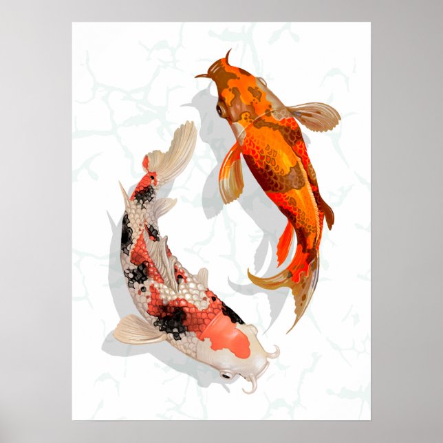 Japanska Koi Pond Poster (Framsidan)