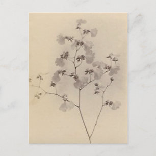 Japanska körsbärskort för blommar vykort