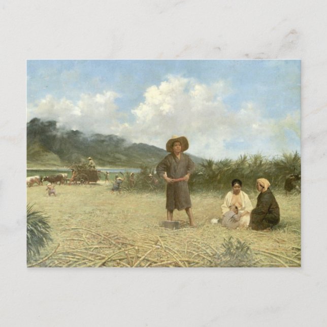 "Japanska laboratorier, Maui" - vykort (Framsida)