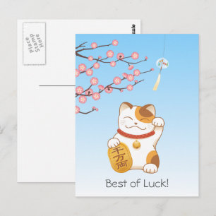 Japanska Lucky Calico Cat, Maneki Neko Vykort