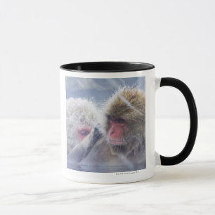 Japanska Macaques (Macacafuscata) som in ansar Mugg