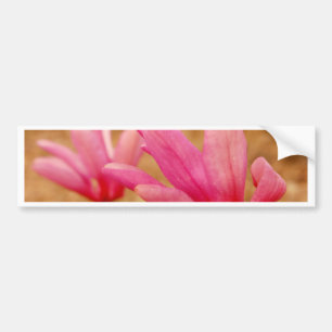 Japanska Magnolia Bildekal