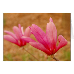 Japanska Magnolia Hälsningskort