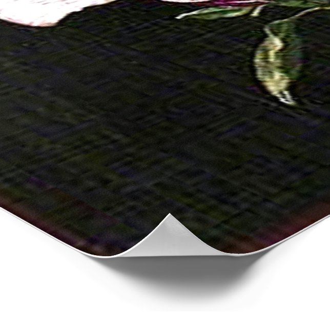 Japanska Magnolia Poster (Hörn)