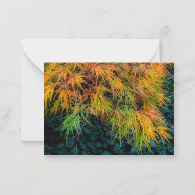 Japanska månhöjdimponeringar anteckningskort (Framsida)