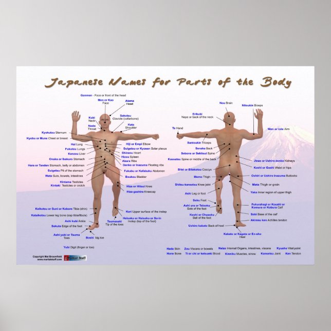 Japanska Namn för kroppsdelar Poster (Framsidan)