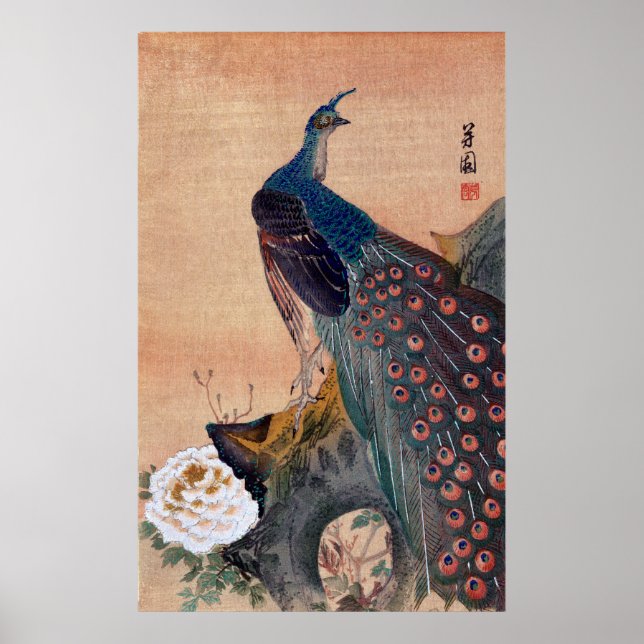 Japanska peacock nr 1 poster (Framsidan)