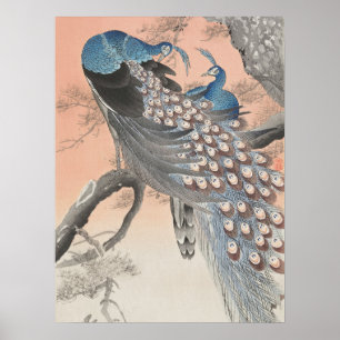 Japanska peacocks på Träd av Ohara Koson Art Poster