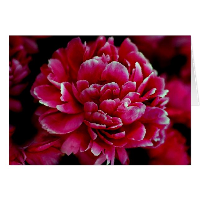 Japanska Peonies Hälsningskort (Framsidan Horizontal)