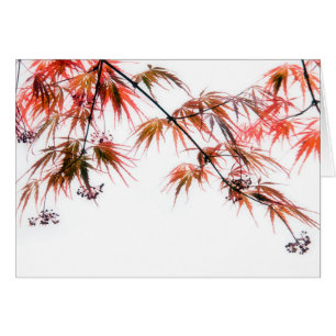 Japanska Red Maple Art-fotografi Hälsningskort