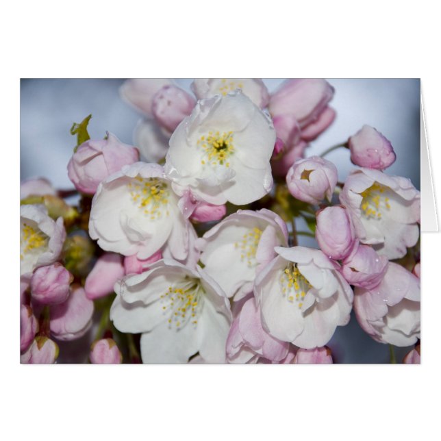 Japanska Ro-kort Hälsningskort (Framsidan Horizontal)