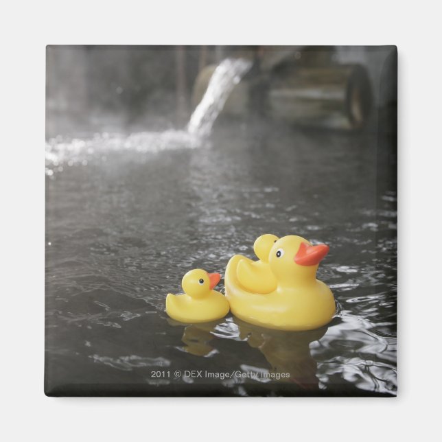 Japanska Rubber Duckies Magnet (Framsidan)