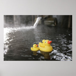 Japanska Rubber Duckies Poster