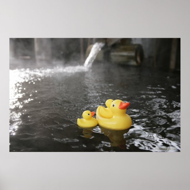 Japanska Rubber Duckies Poster (Framsidan)