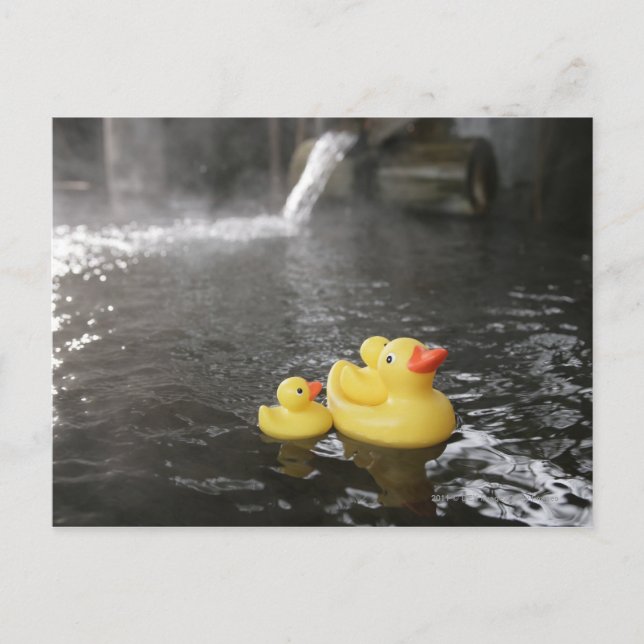 Japanska Rubber Duckies Vykort (Framsida)