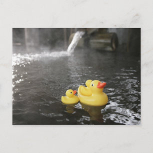 Japanska Rubber Duckies Vykort