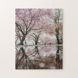 Japanska Sakura Cherry Blommars Bloom Reflektion Pussel