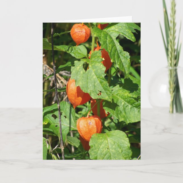 Japanska signaturhälsningskort (tomt inuti) kort (Framsida)