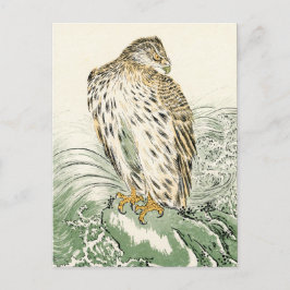 Japanska sjöagle - Osprey Vykort