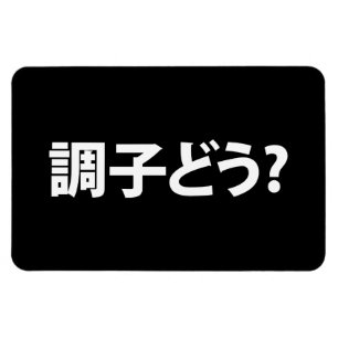 Japanska Slang Vad är upp 調 子 ど う? Choushi Dou Magnet