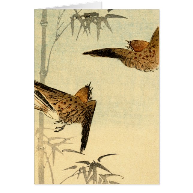 Japanska Sparrows no.1 OBS Kort (Framsidan)