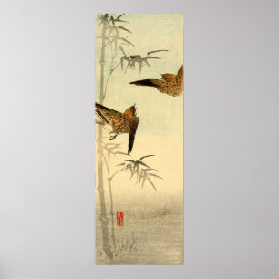 Japanska Sparrows nr 1 Poster