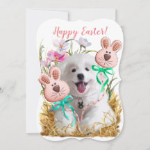 Japanska spitz-valpar och gingerbrödharar