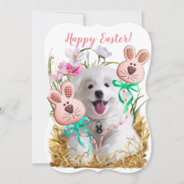 Japanska spitz-valpar och gingerbrödharar