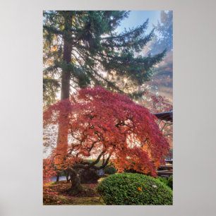 Japanska trädgårdar på hösten i Portland, Oreg Poster