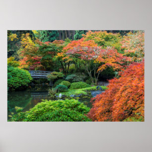 Japanska trädgårdar på hösten i Portland, Oreg Poster