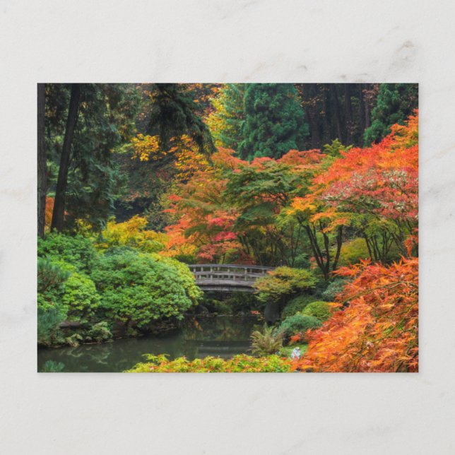 Japanska trädgårdar på hösten i Portland, Oregon 5 Vykort (Framsida)